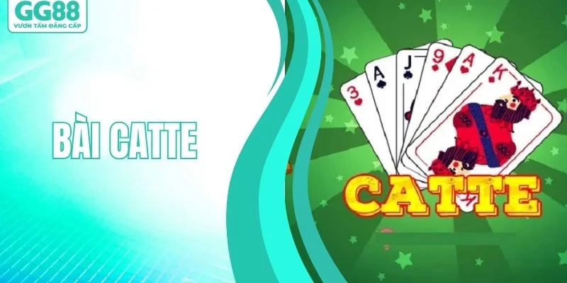 Ảnh đại diện bài catte