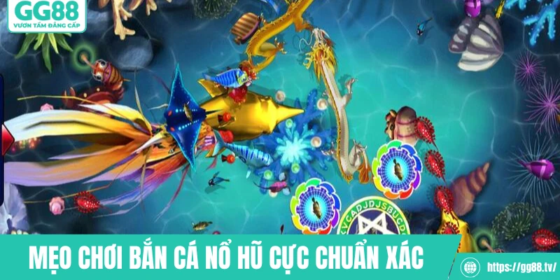 Mẹo chơi bắn cá nổ hũ cực chuẩn xác