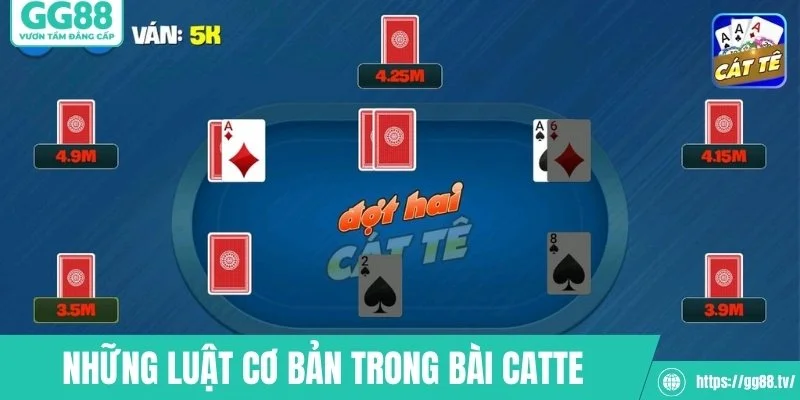 Những luật cơ bản trong bài catte tại GG88